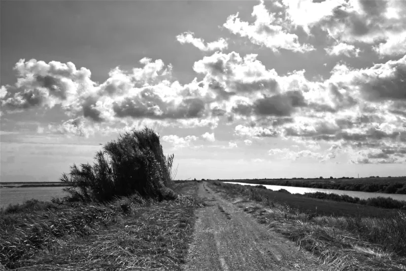 Valli di Comacchio