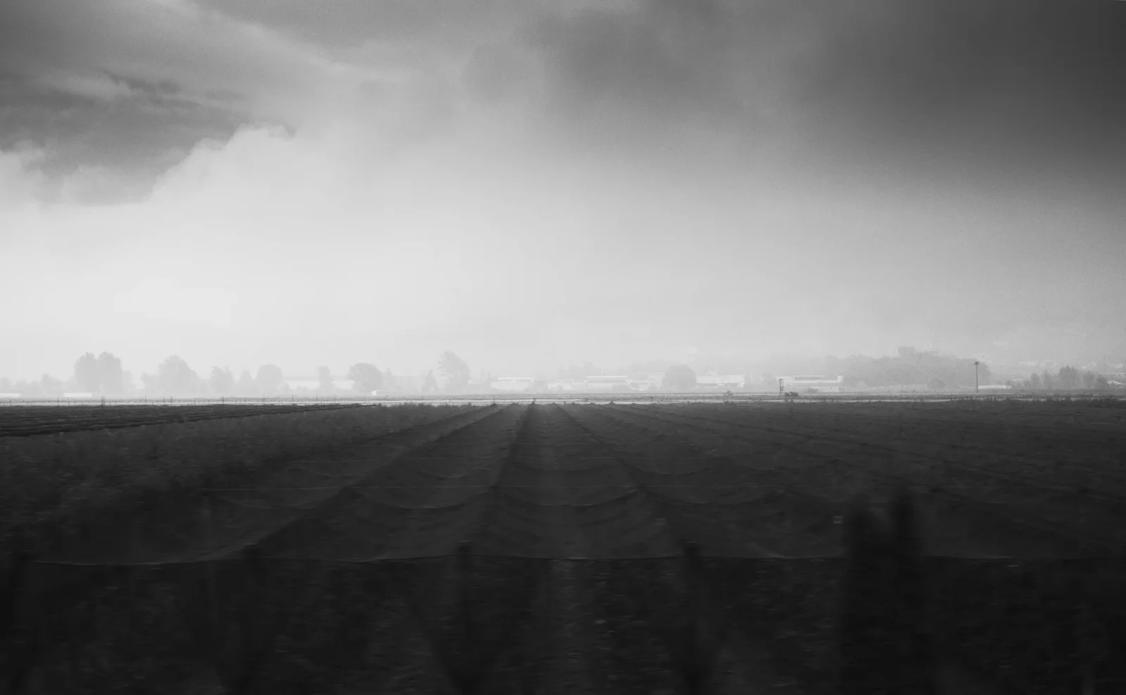 Il risveglio della campagna