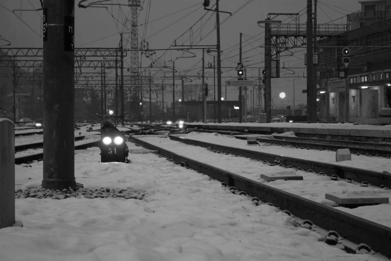 Marmotte alla stazione di Bolzano
